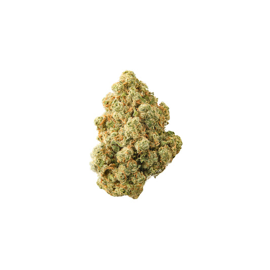 Premium Flower. Cement Shoes.