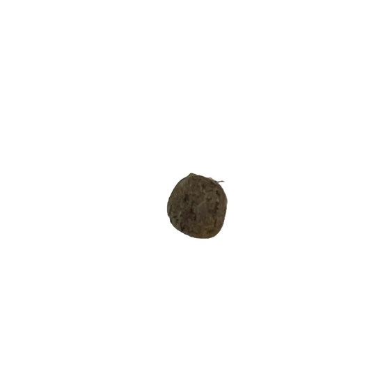 Noah Pharms G Cough White (Organic THCa Seed) White Truffles × Strawberry Cough | Sativa-Leaning Hybrid | Premium Genetics