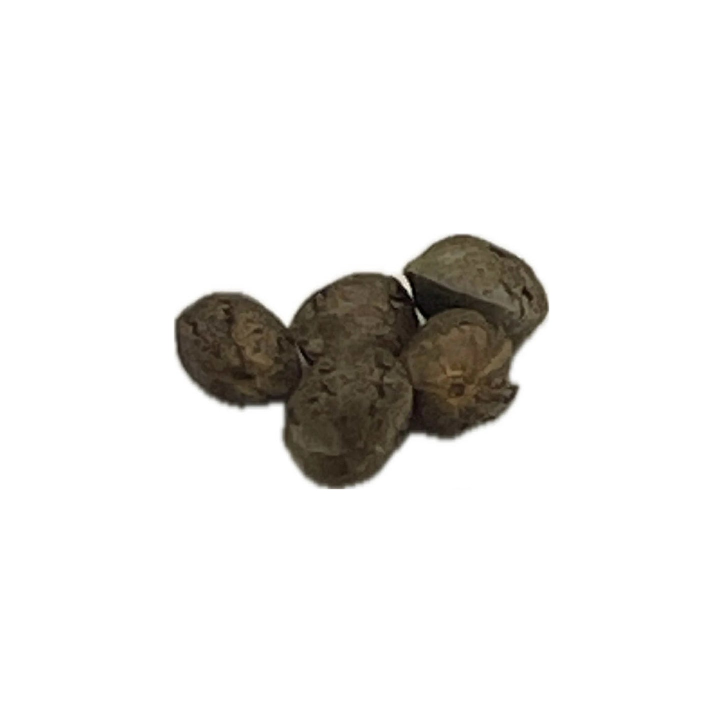 Noah Pharms G Cough White (Organic THCa Seed) White Truffles × Strawberry Cough | Sativa-Leaning Hybrid | Premium Genetics